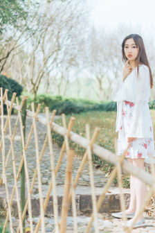 美国舞娘